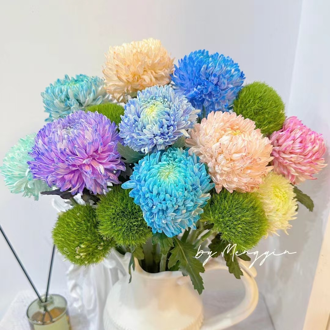 【香羿鲜花】混色牡丹菊五只/同城免费配送