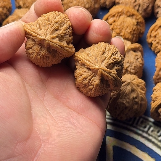 鹏***摇38全品无修精品南疆石