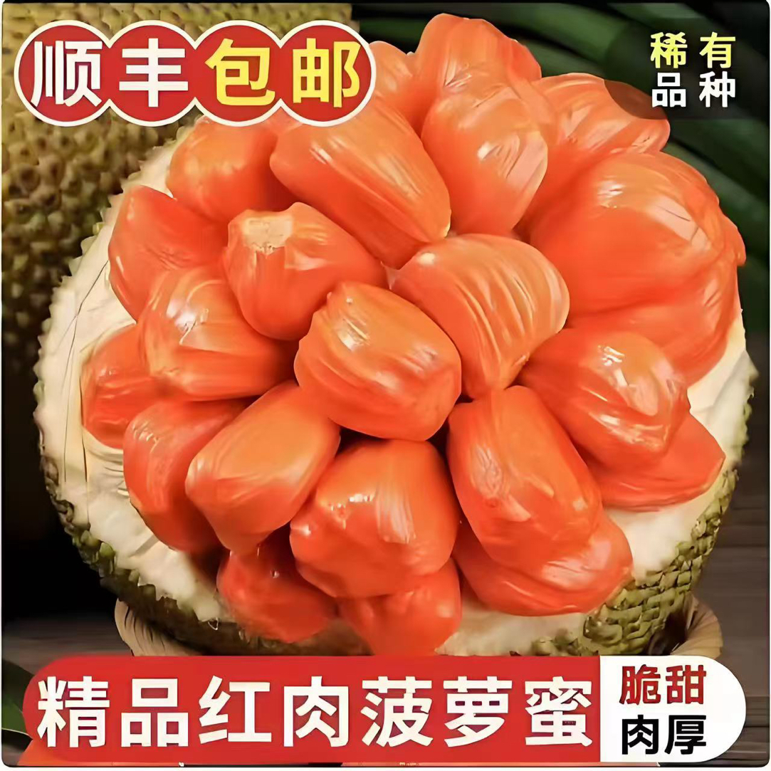 【顺丰包邮次日达】印尼红肉菠萝蜜AAA级整果一果一拍红肉菠萝蜜（默认脆甜口感）红肉菠萝蜜越南社会主义共和国