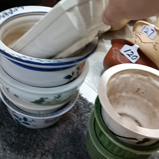 水***月各种花盆各种花盆