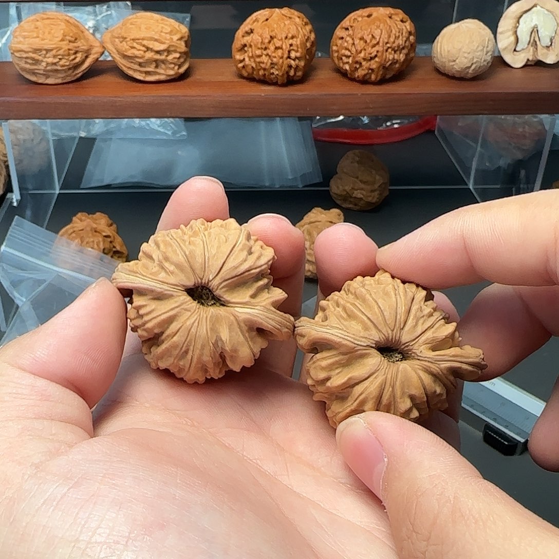 吊坠文玩核桃10号43楼子