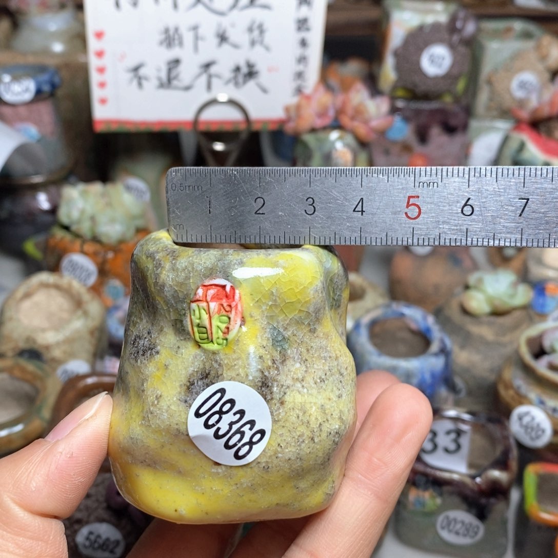 花盆拍2送一个小礼物