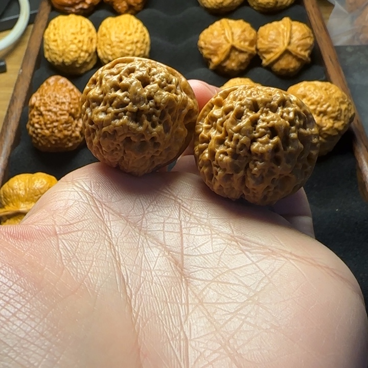 文玩核桃把件血舍利36