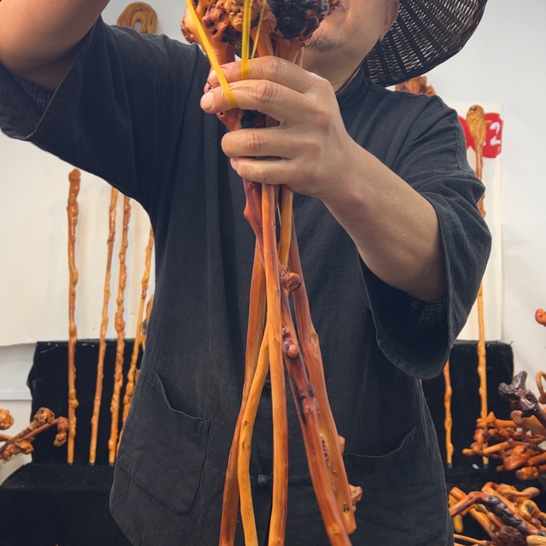 其他黑果木黑果木166