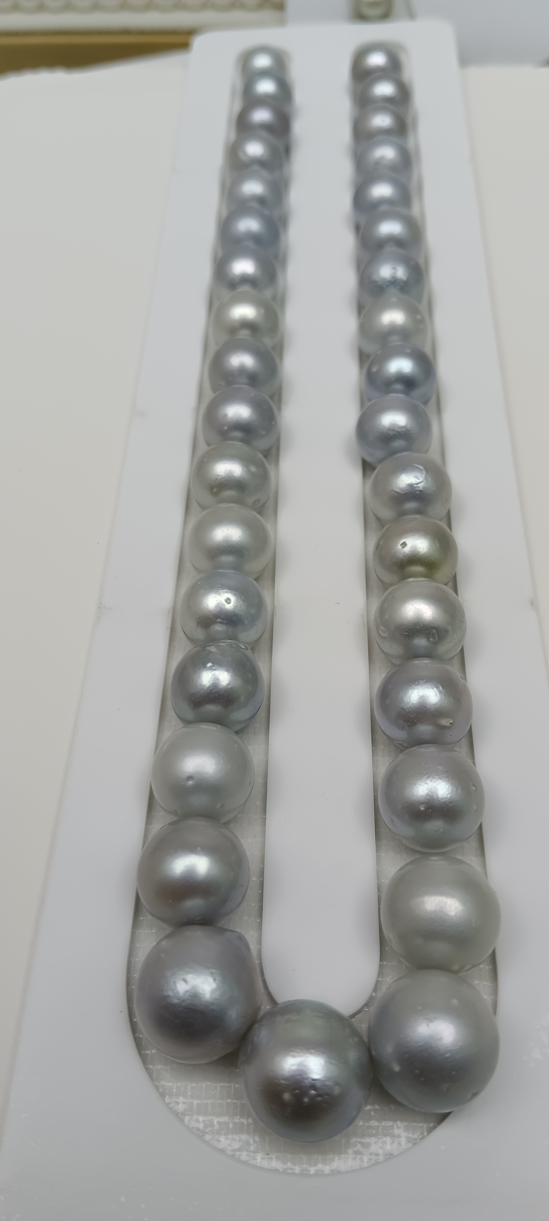 珍珠海水澳白灰雪12-13