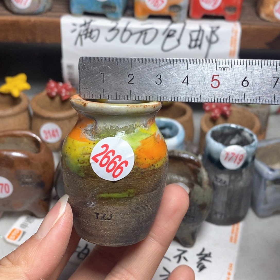 陶瓷拍5送一个小