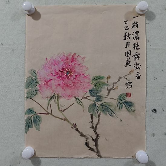 国画中国画花鸟画