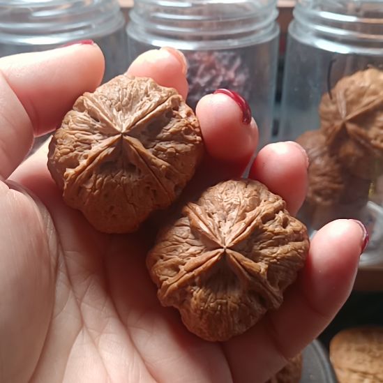 文玩核桃把件666666666666666666