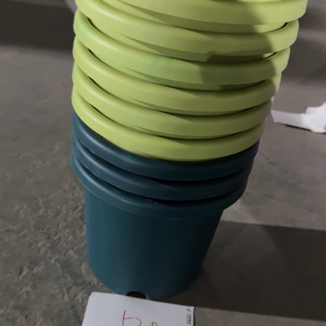 编号520串色口径21