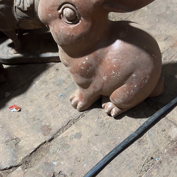 香榧木8888888888888888