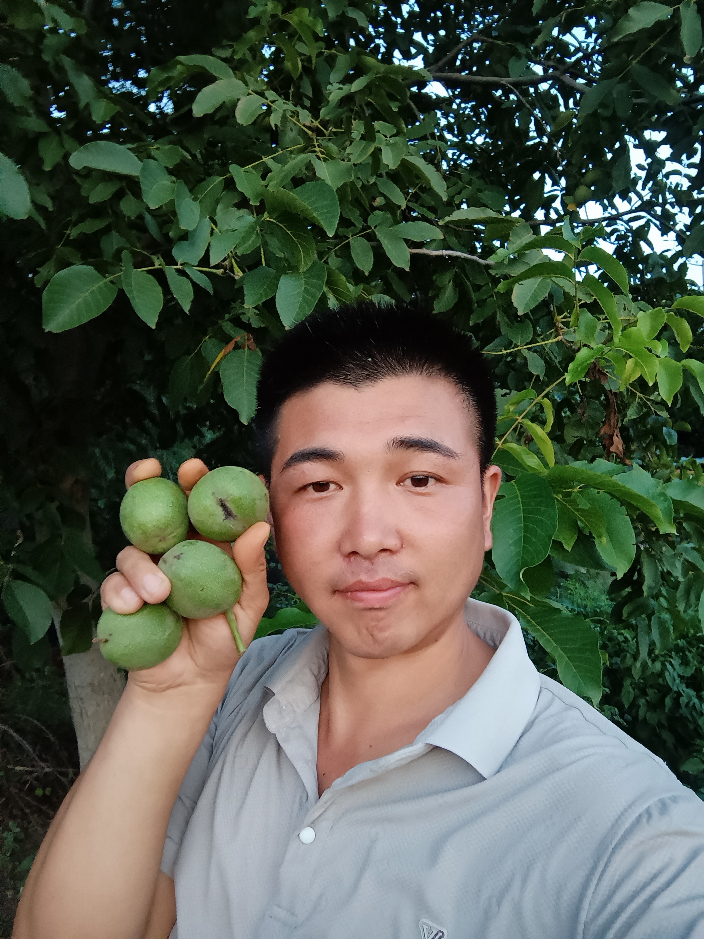 封丘新鲜青皮核桃净重5斤发货