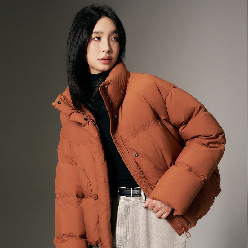 立领羽绒服女2025新款冬季新款时尚保暖加厚宽松90白鸭绒外套潮