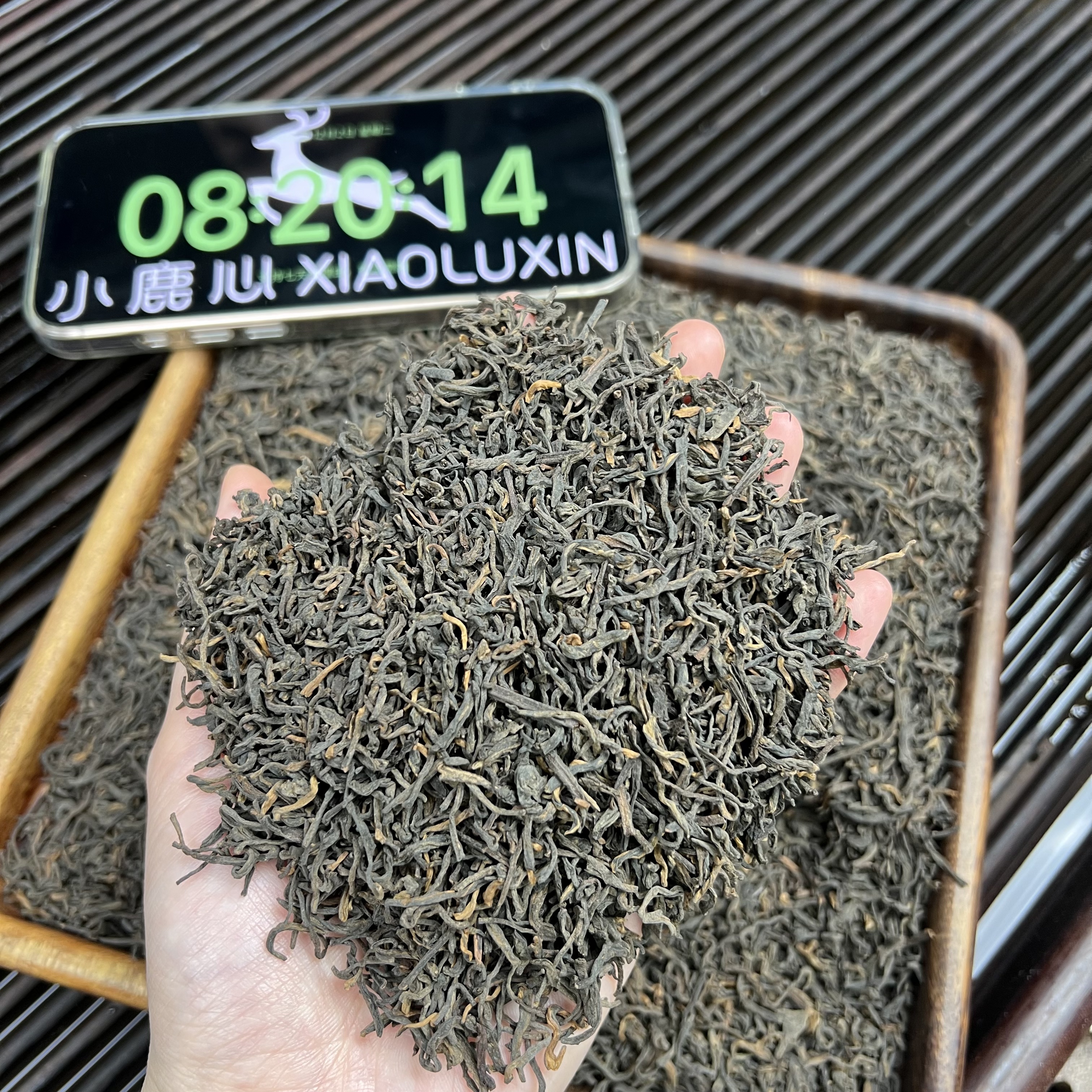 果香六堡茶 小鹿收茶 黑茶 六堡茶  12月2
