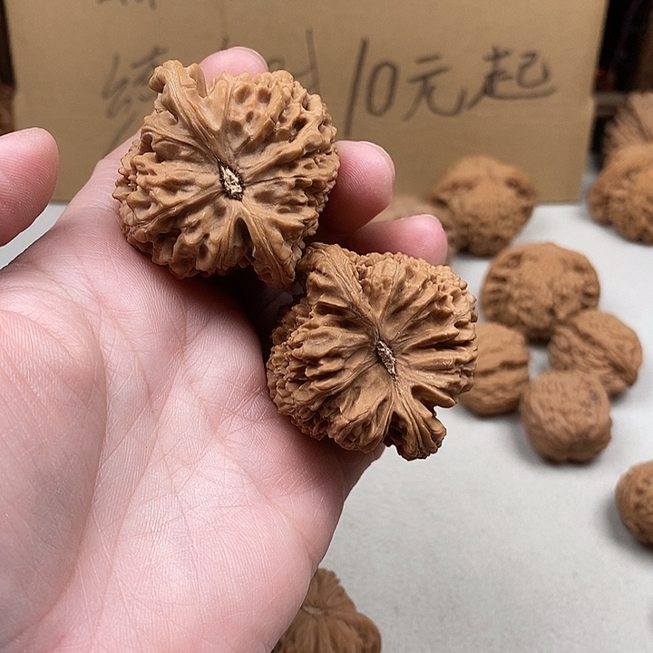 一***前龙脊菩提吊坠79.79.79.79.79.79