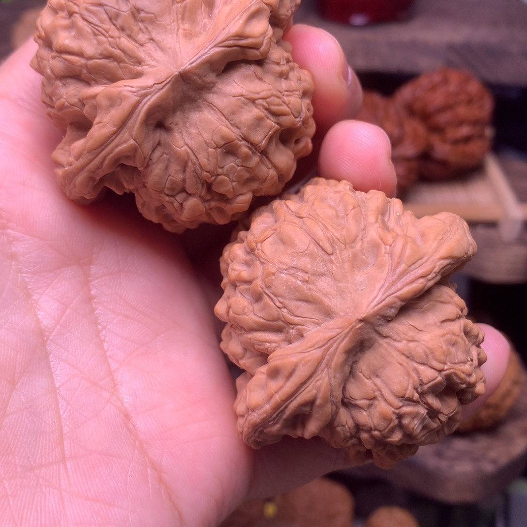 文玩核桃把件48龙鼎全品