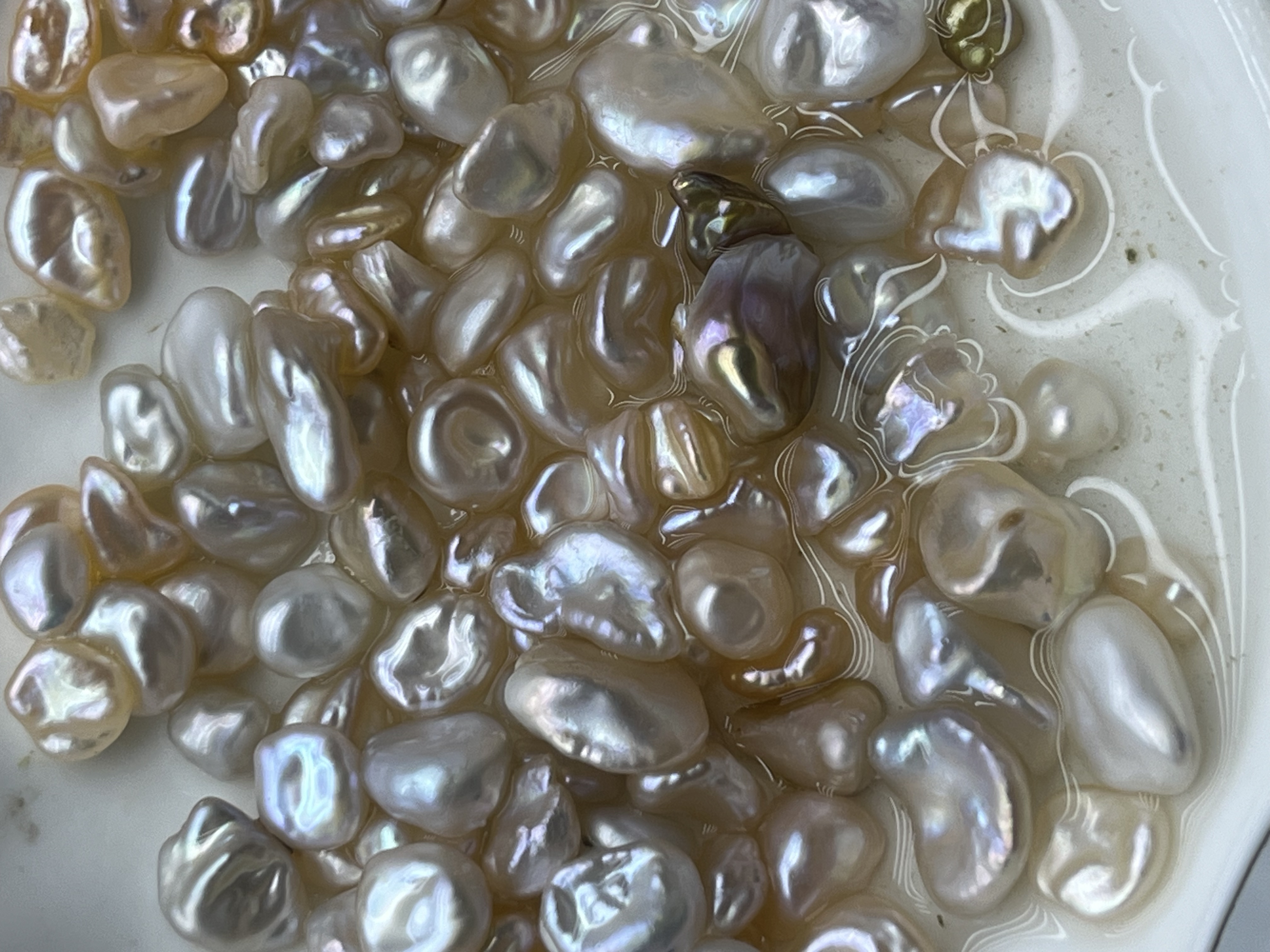 大碎银（活体开蚌不退不换）可定制DIY