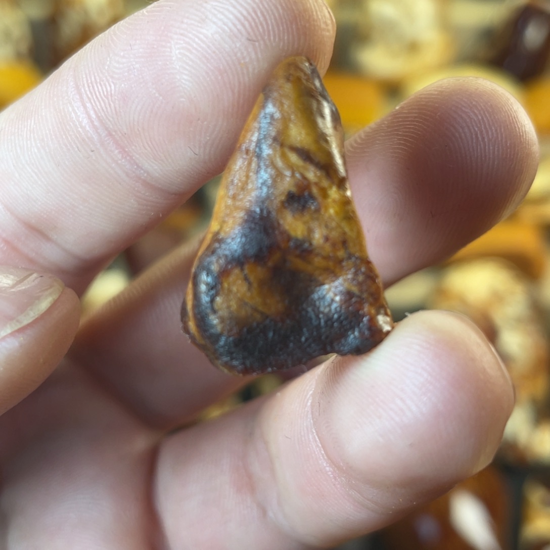 裸石琥珀未镶嵌冬*天然蜜蜡