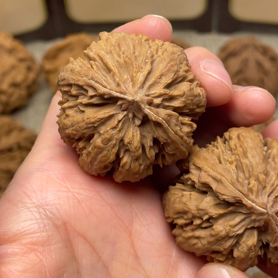 文玩核桃把件秦岭核桃15号