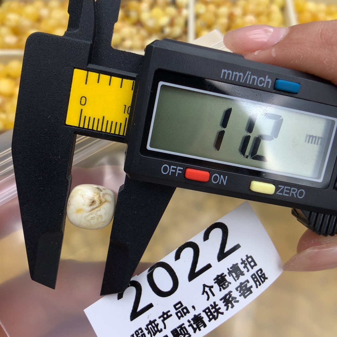 未镶嵌琥珀珠宝奇石