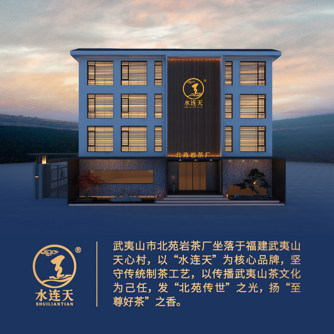 武夷岩茶改价链接4