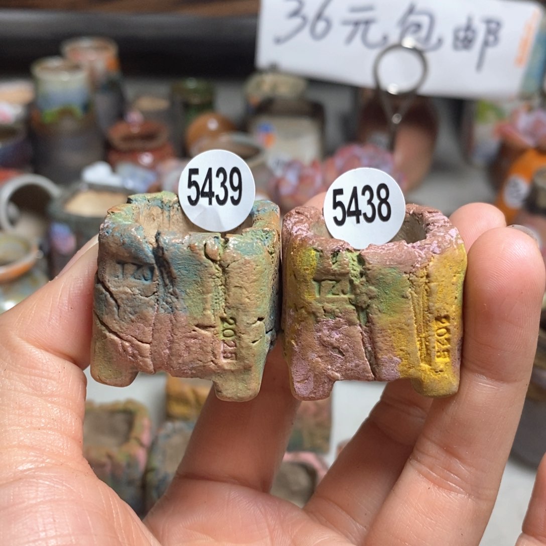 j**c拍3送一个小礼物