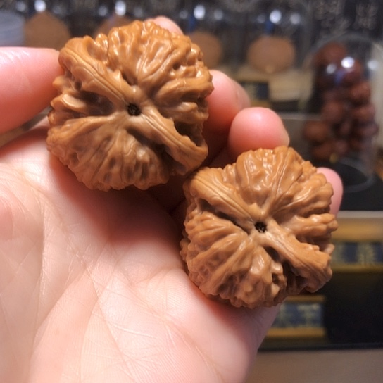 野生小众：精品天眼