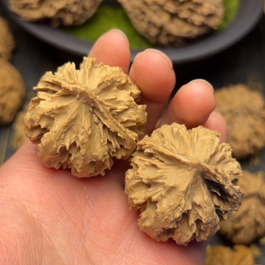 文玩核桃吊坠秦岭核桃10