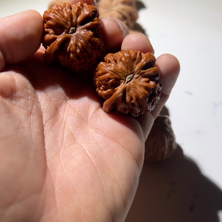 A***锋文玩核桃把件白狮子