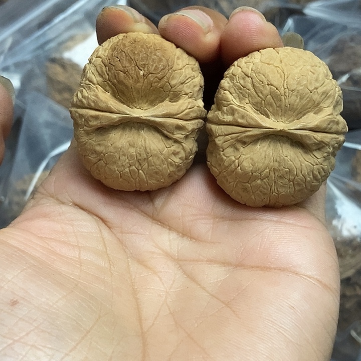 文玩核桃把件云南铁核桃基地17