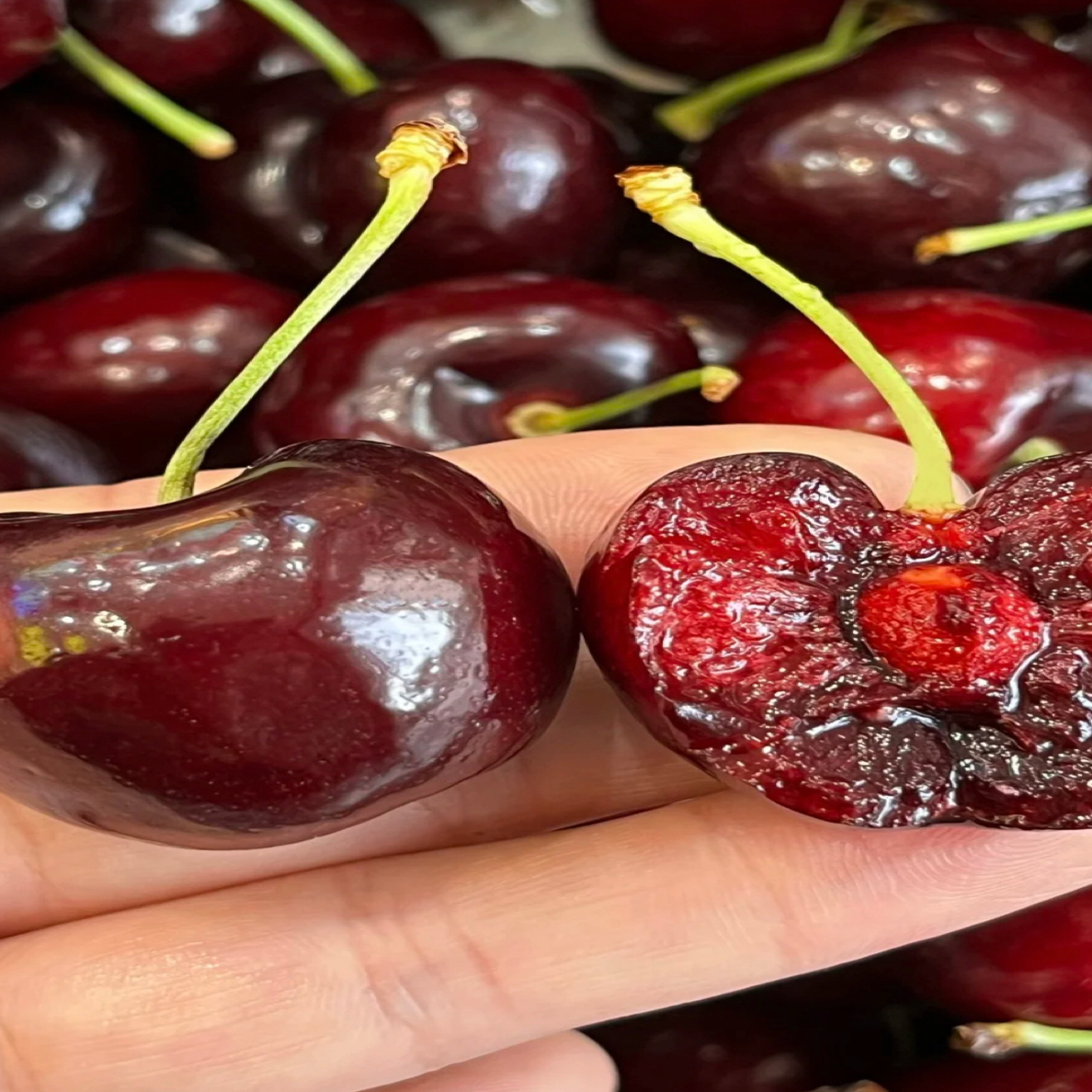 2JD车厘子甜新鲜2斤装海运桑提娜智利