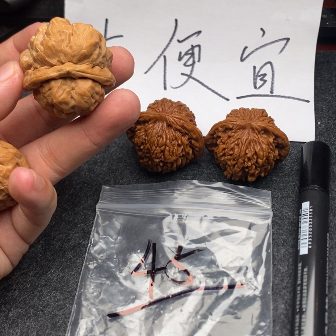 哈哈哈哈我的天啊我