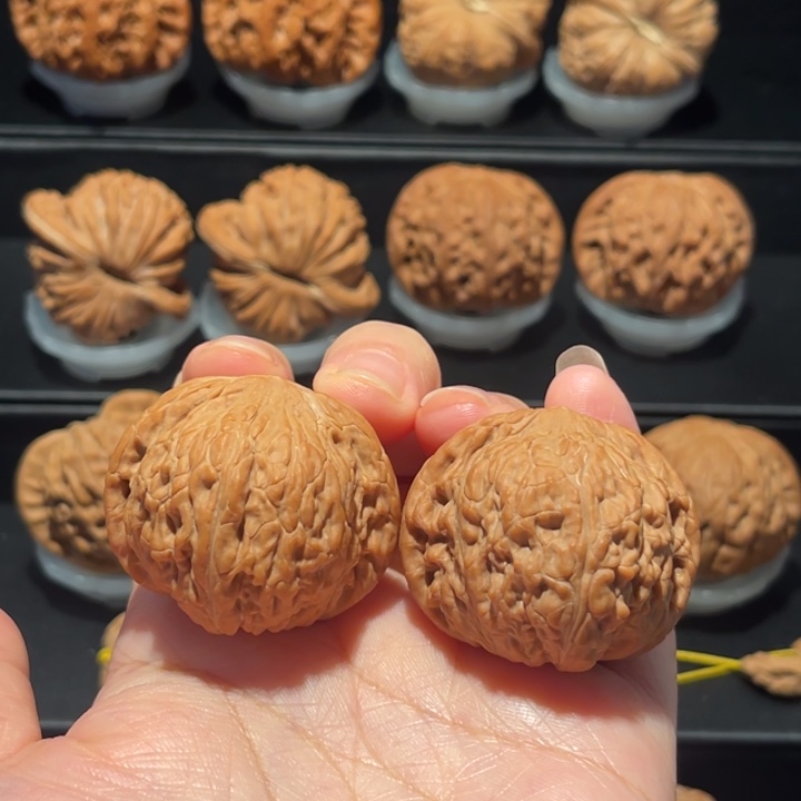 全品，精品，40泥鳅背082