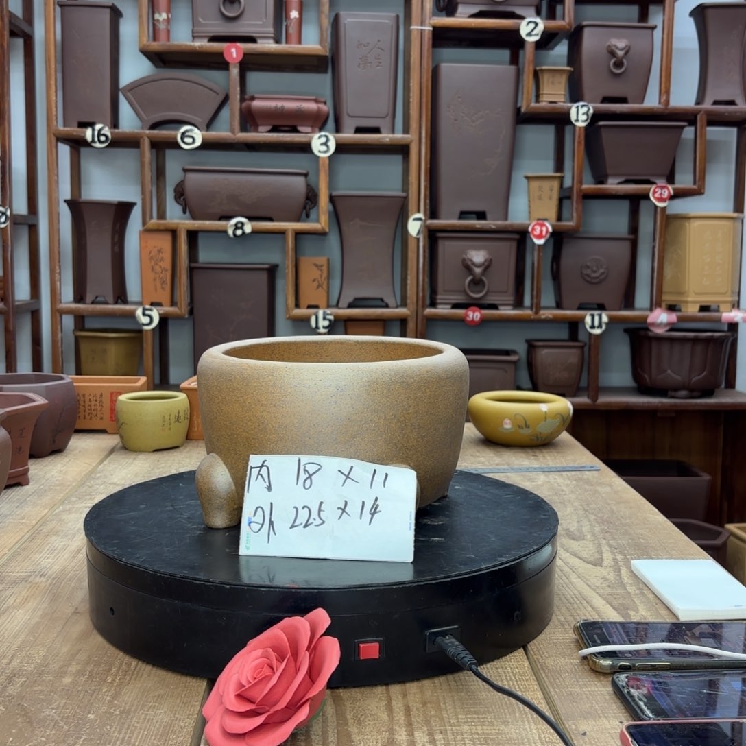 森***哥紫砂花盆福利秒杀