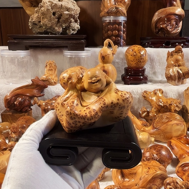 用***0柏木太行崖柏蜜瘤乐乐