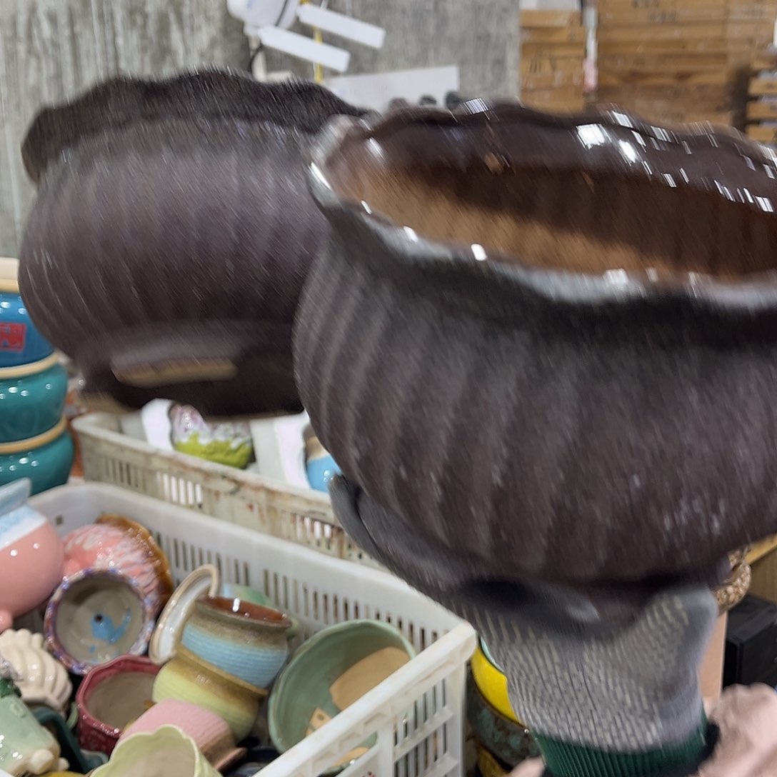 陶瓷正品数量有限