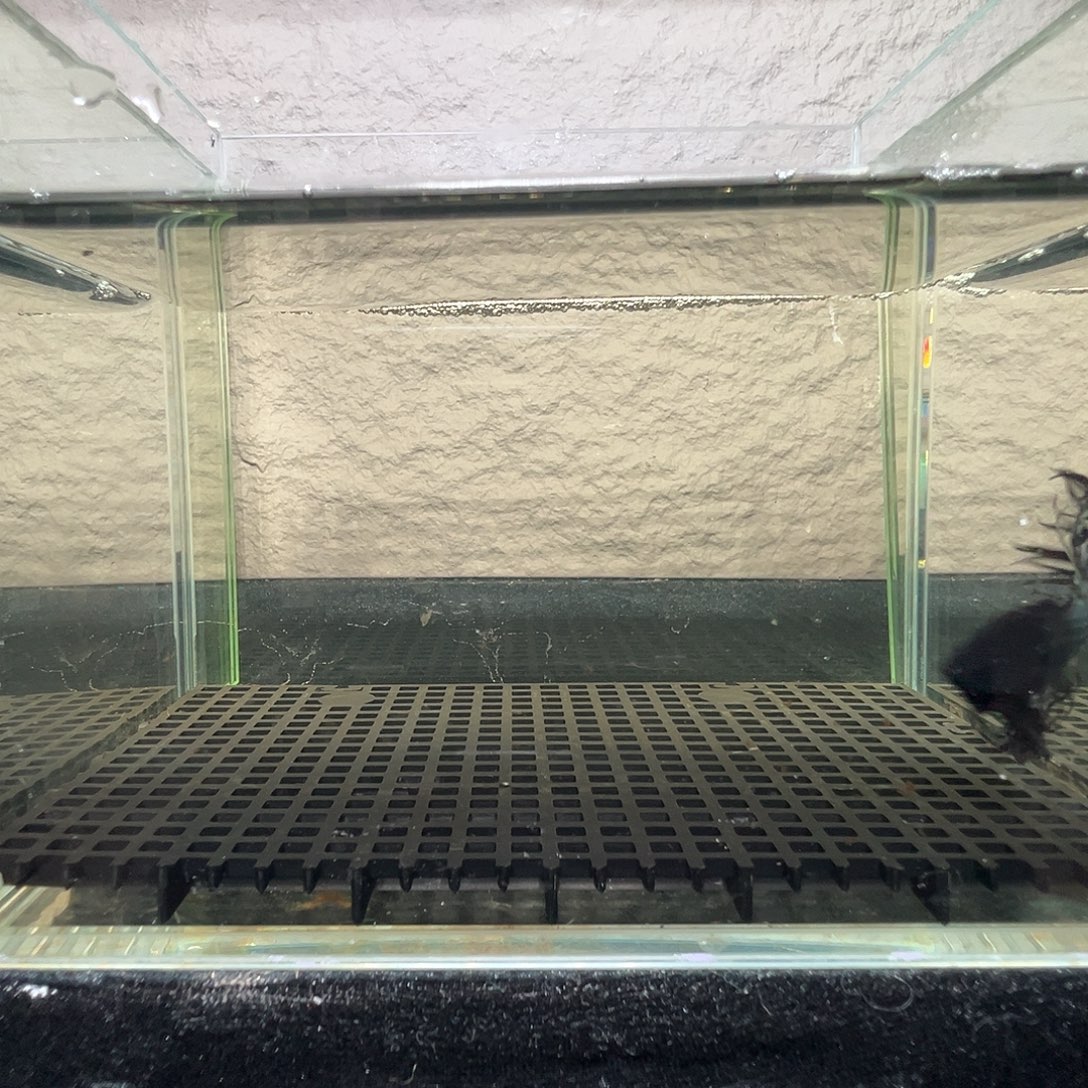 斗鱼阿浩泰斗24日121