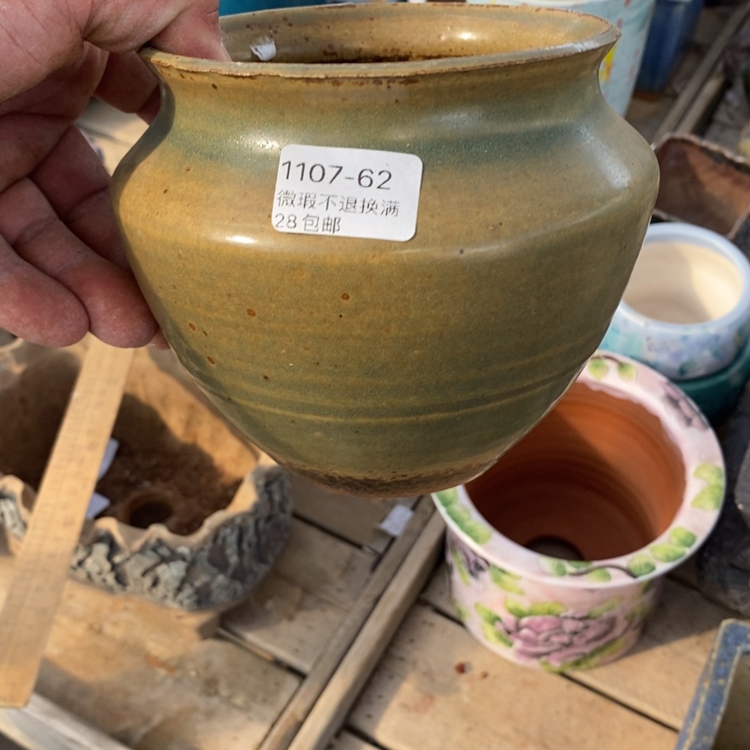 62号花盆内10.5高11.5