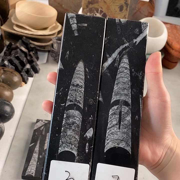 诺***～角石化石的镇尺手摆件