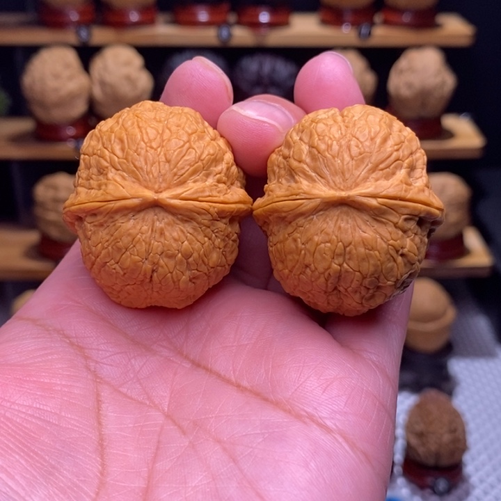 木质类云铁金丝绣球22号