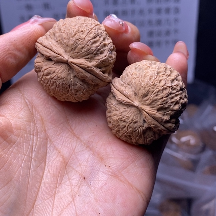 核桃云南野生铁核桃152号35mm