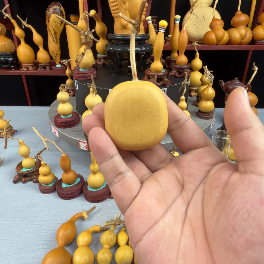 晓***流藤木我的小可爱你要打我吗