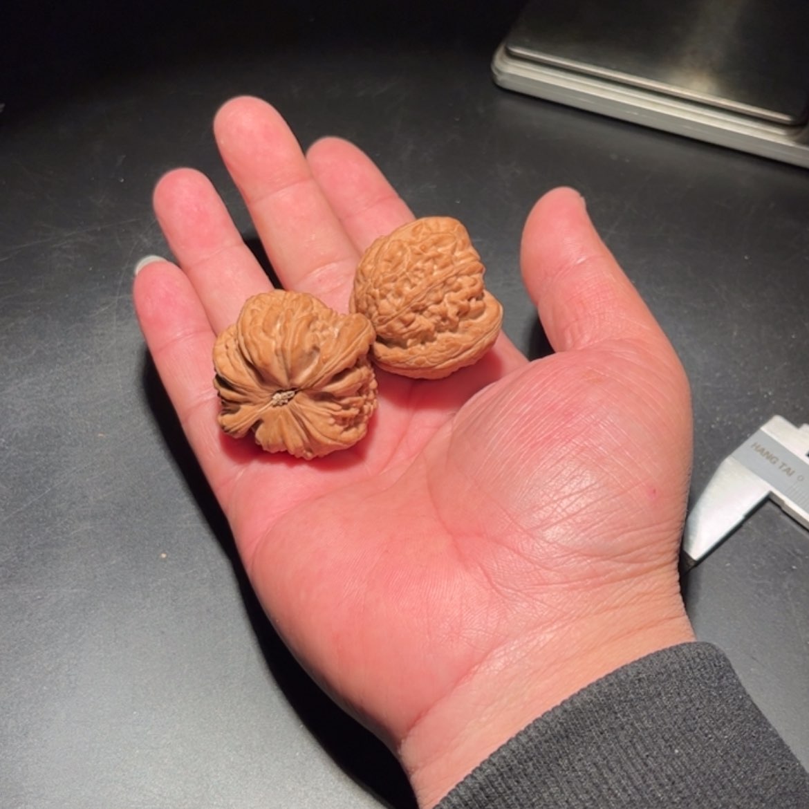 【闪购商品】青*.文玩核桃木制手把件