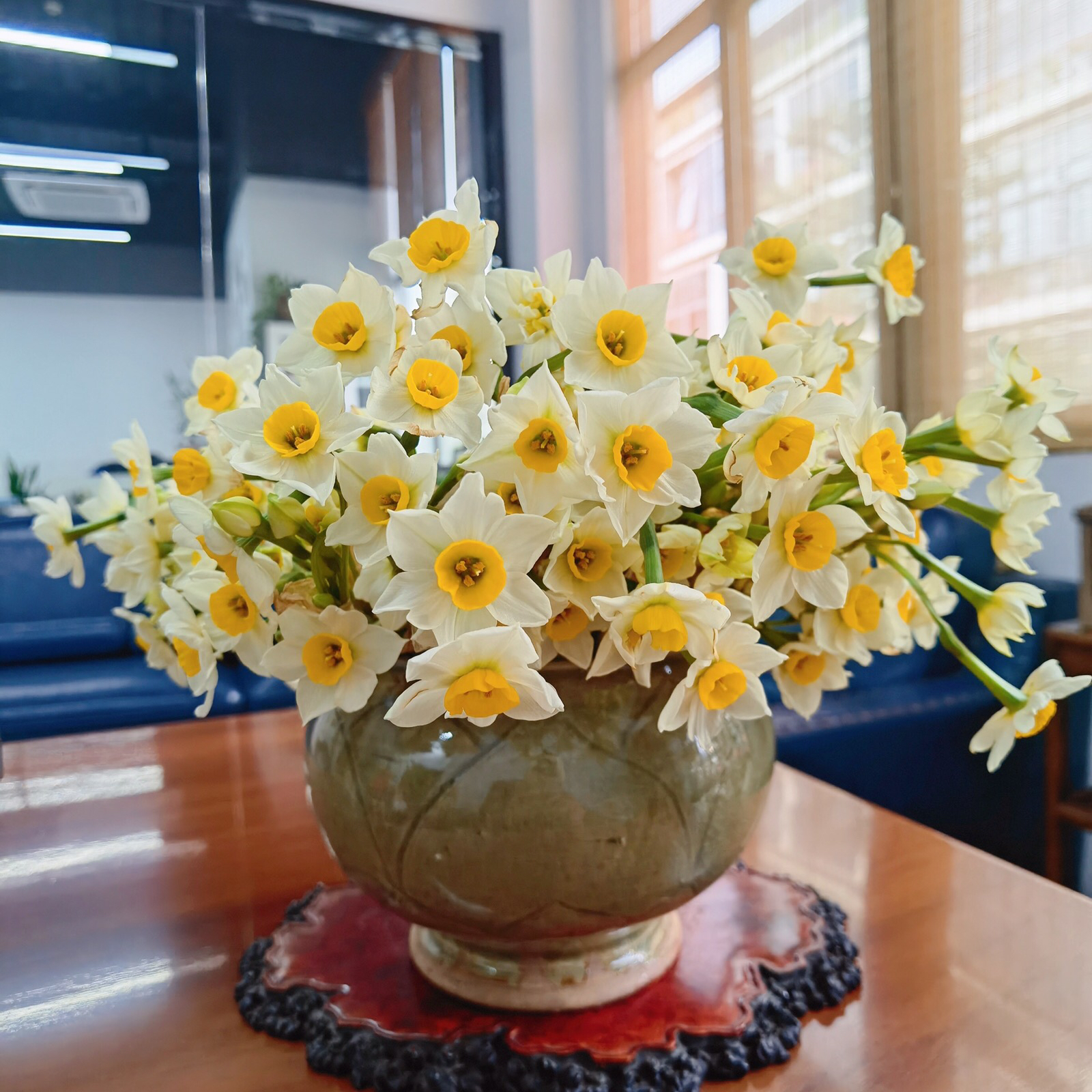 水仙花鲜切花单瓣复瓣水培室内花卉冬季年宵花