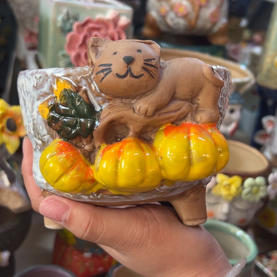 满20米秒退拉黑花盆