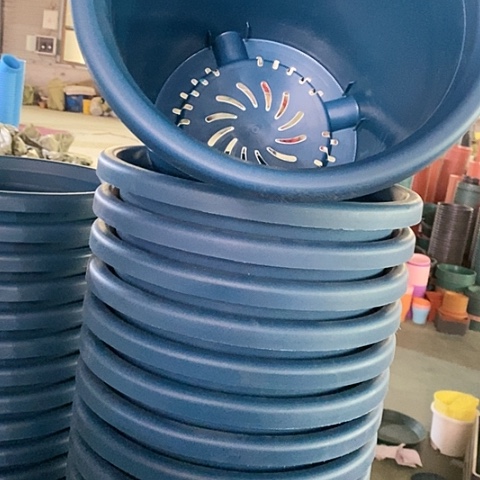 树脂四季7号藏青无托6个