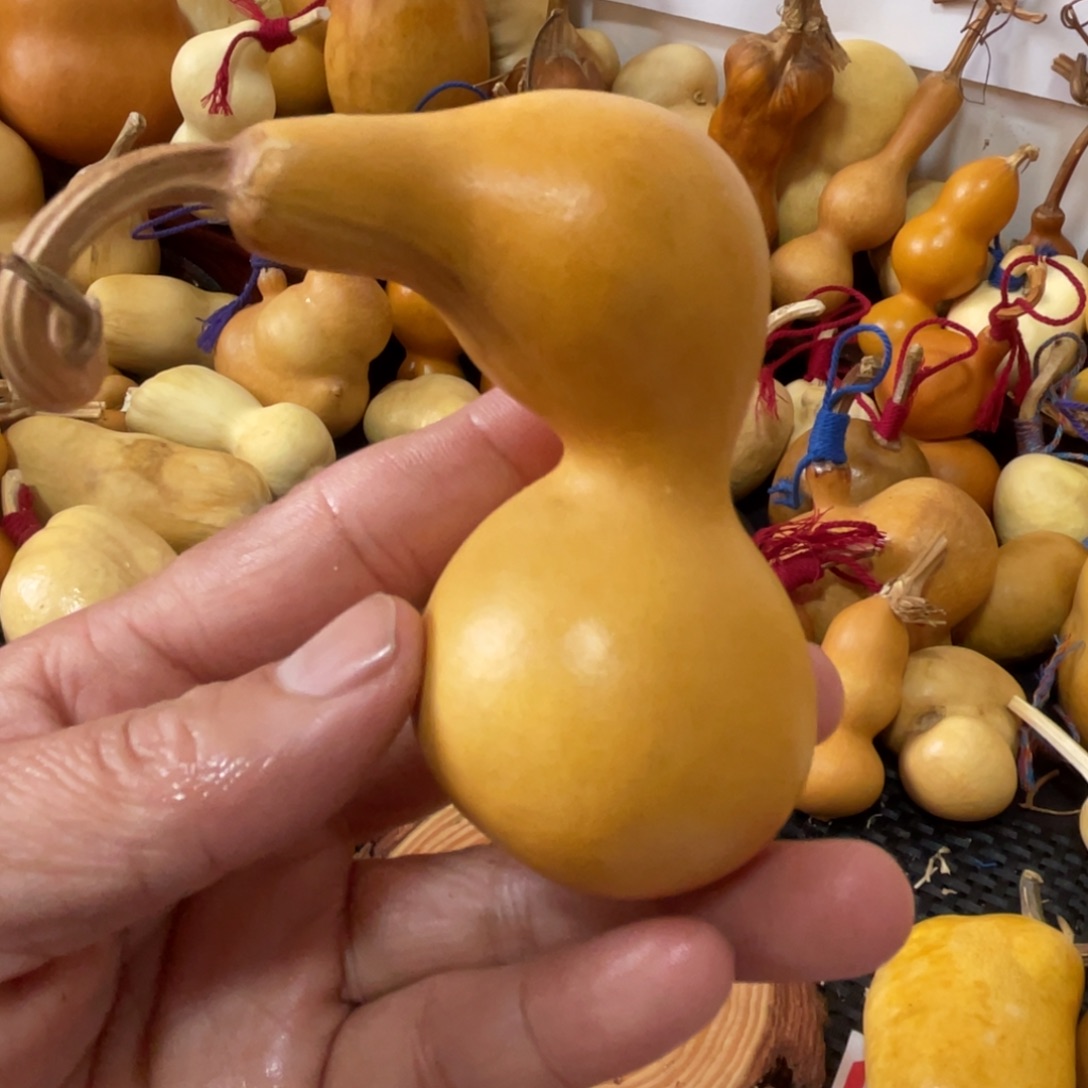 花***圆葫芦哈哈哈哈哈哈哈哈哈哈哈哈