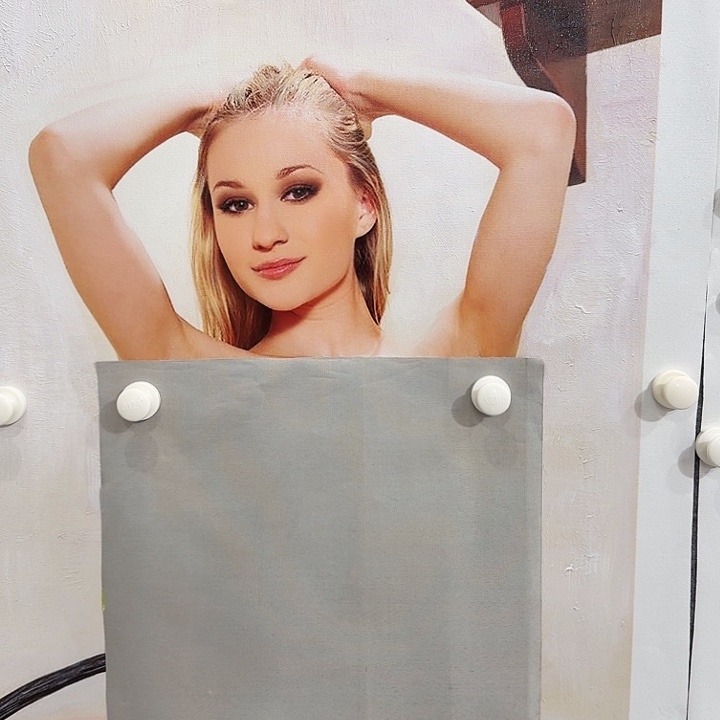 金寨画作欣赏作品