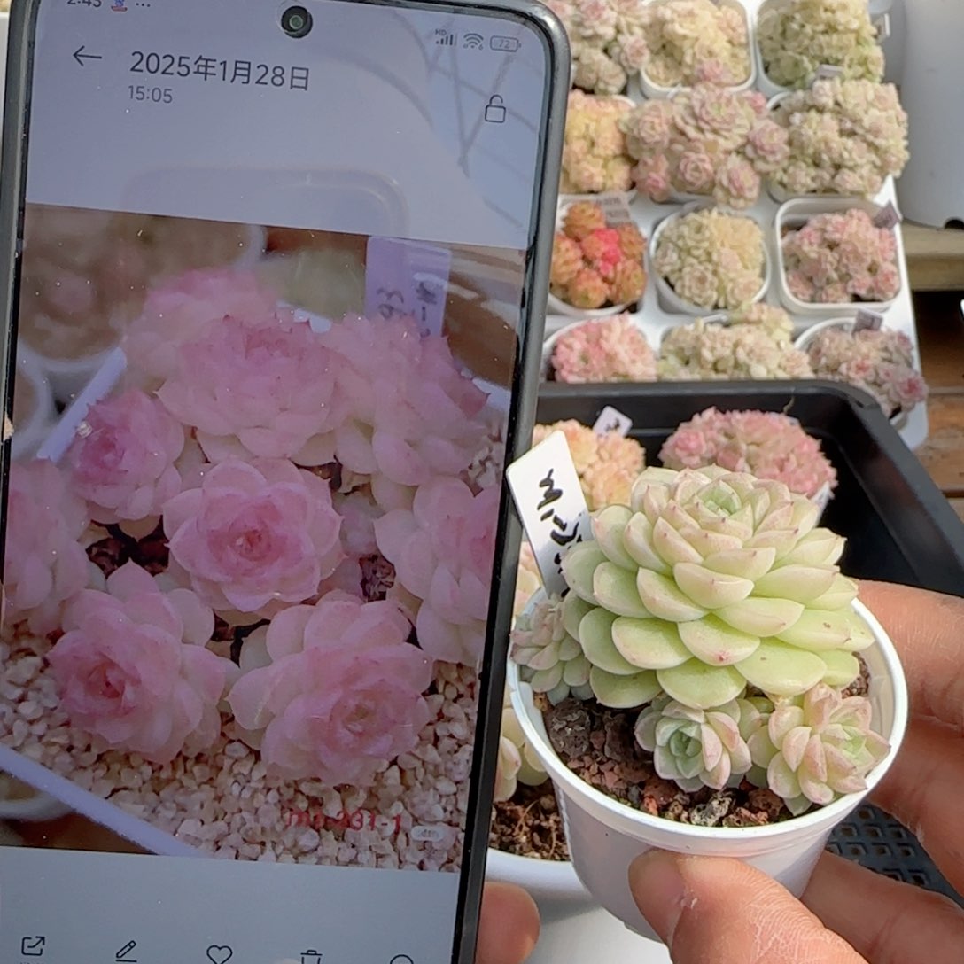 【闪购商品】0130-107（m1-231-1）