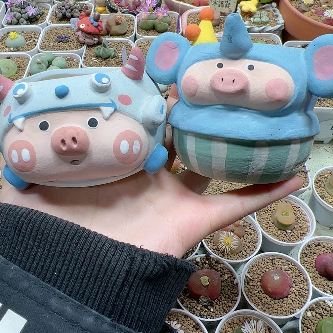 【闪购商品】唐**鱼125 一起