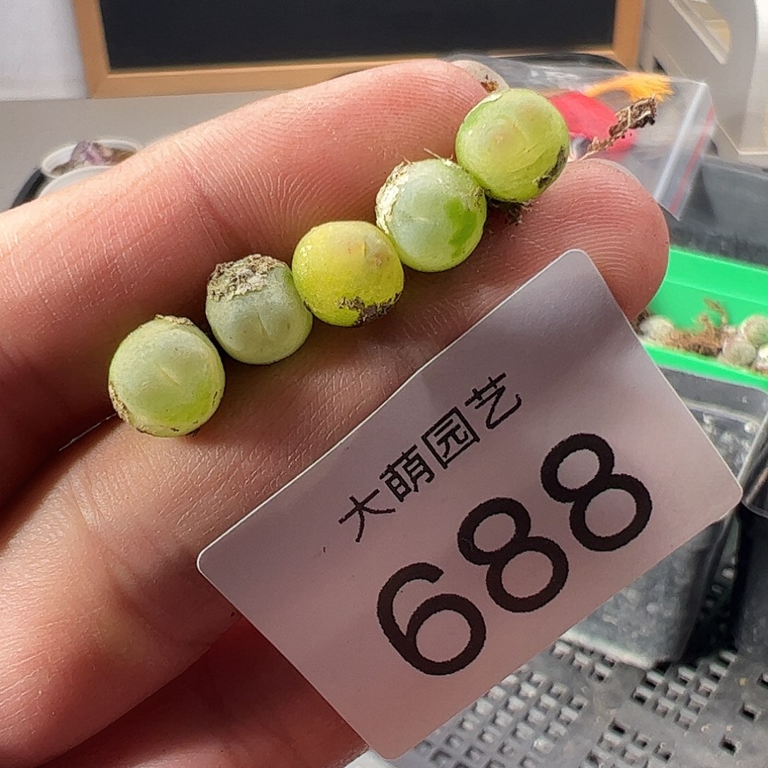 一物一拍。     688